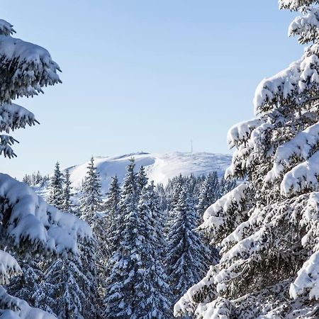 Waldtwin 2 Titisee Luaran gambar