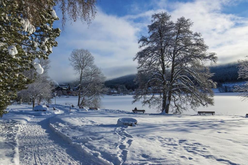 Waldtwin 2 Titisee Luaran gambar
