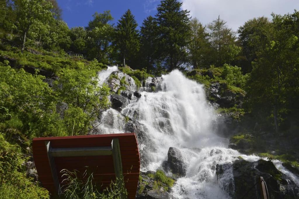 Waldtwin 2 Titisee Luaran gambar