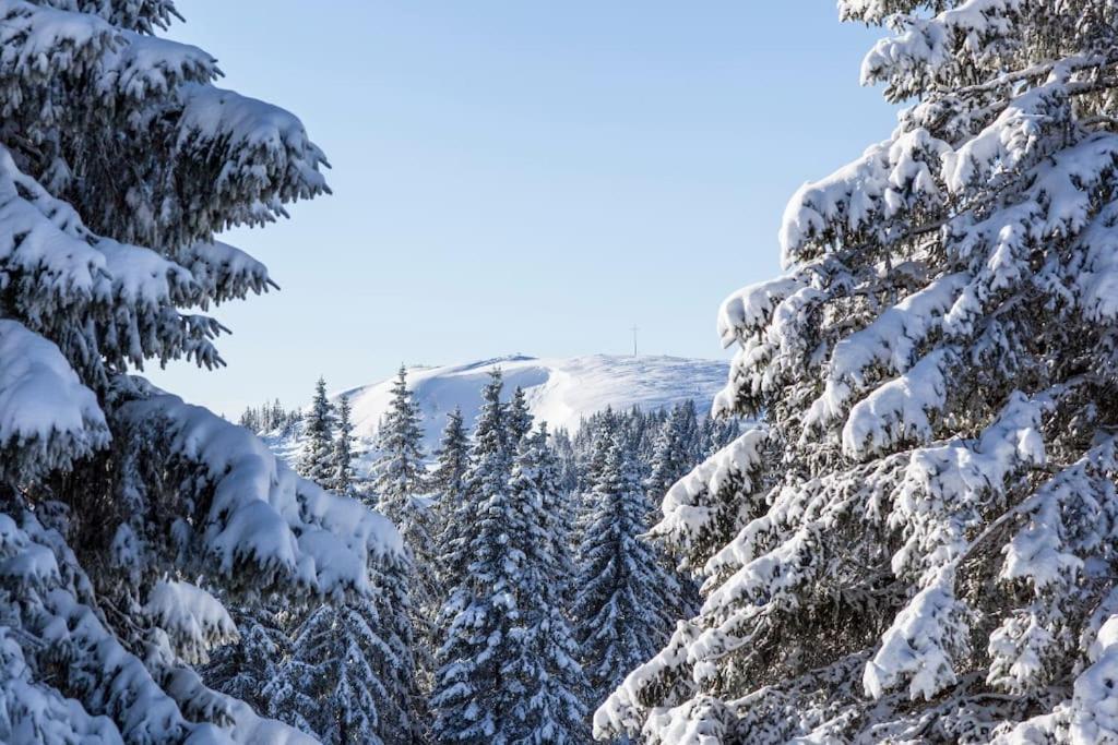 Waldtwin 2 Titisee Luaran gambar