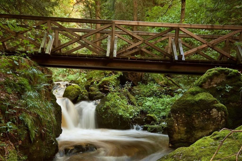 Waldtwin 2 Titisee Luaran gambar