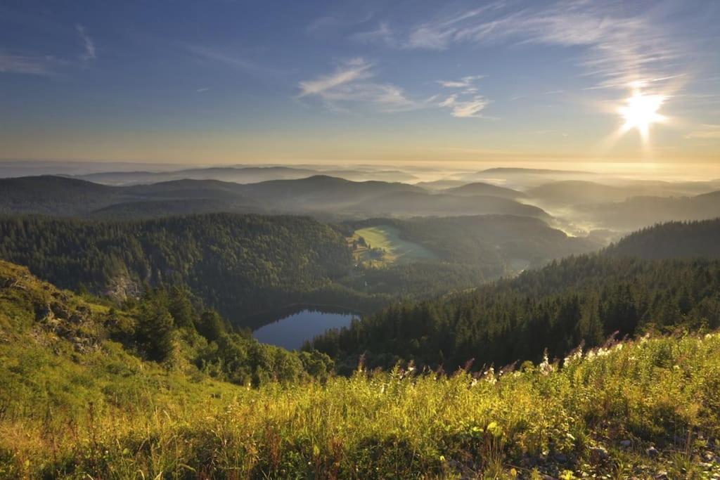 Waldtwin 2 Titisee Luaran gambar