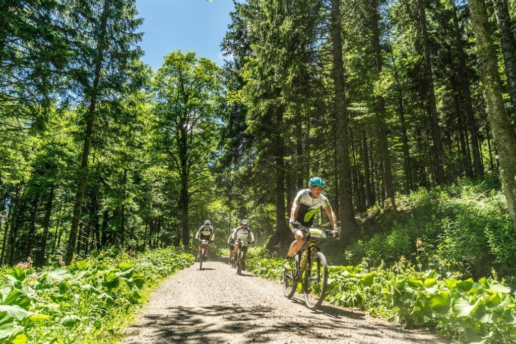 Waldtwin 2 Titisee Luaran gambar